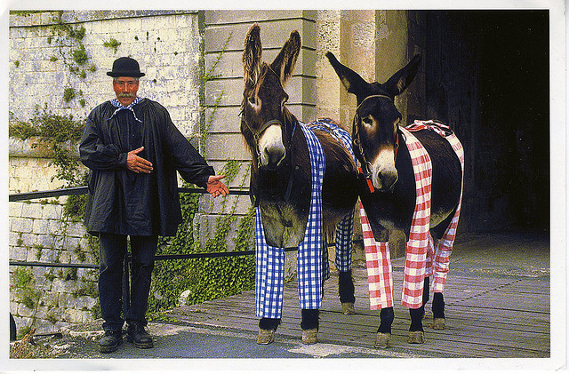 Ile-de-Re-small-image_©bloomproject