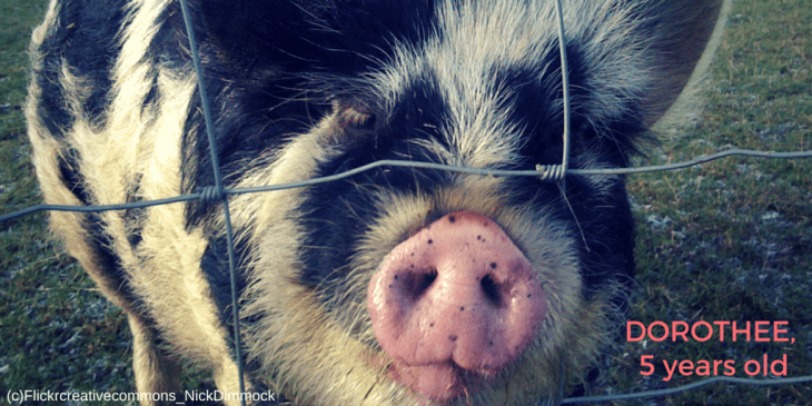 Twitter_Dorothée_28.04.15