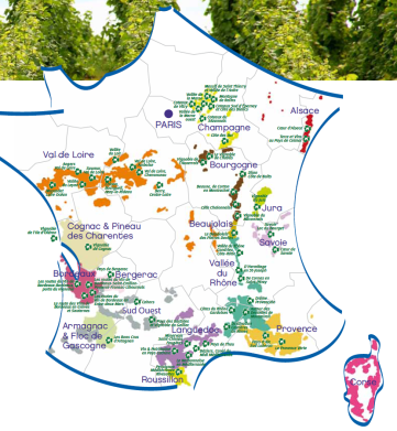 france oenotourisme