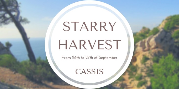 The STARRY HARVEST (1)