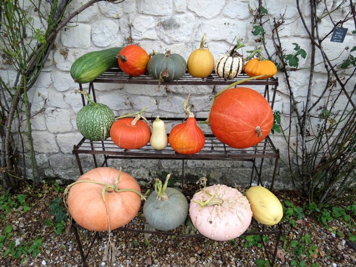 ggirard_crtcentrevaldeloire